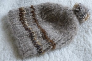 Schal und Mütze 2014 022